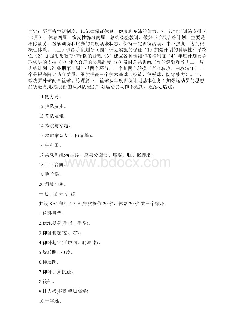 篮球队年度训练计划文档格式.docx_第2页