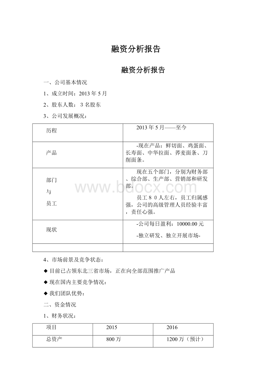 融资分析报告Word文档格式.docx