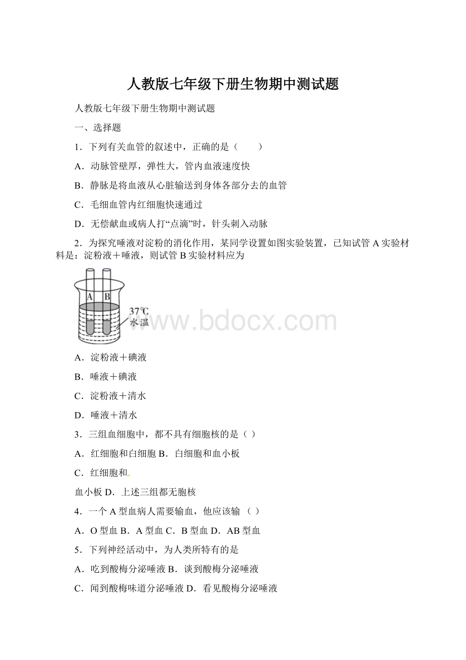 人教版七年级下册生物期中测试题Word文档下载推荐.docx