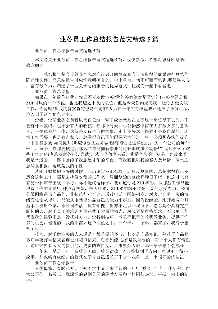 业务员工作总结报告范文精选5篇文档格式.docx_第1页