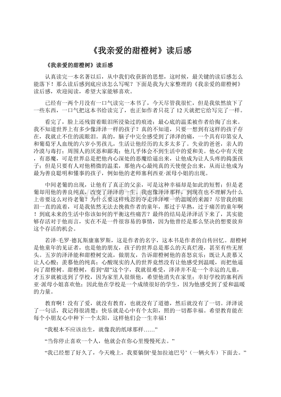 《我亲爱的甜橙树》读后感文档格式.docx