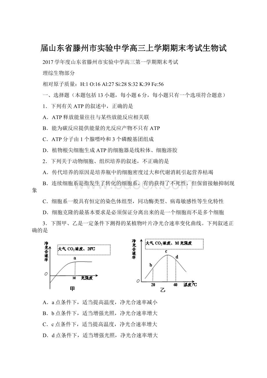 届山东省滕州市实验中学高三上学期期末考试生物试.docx