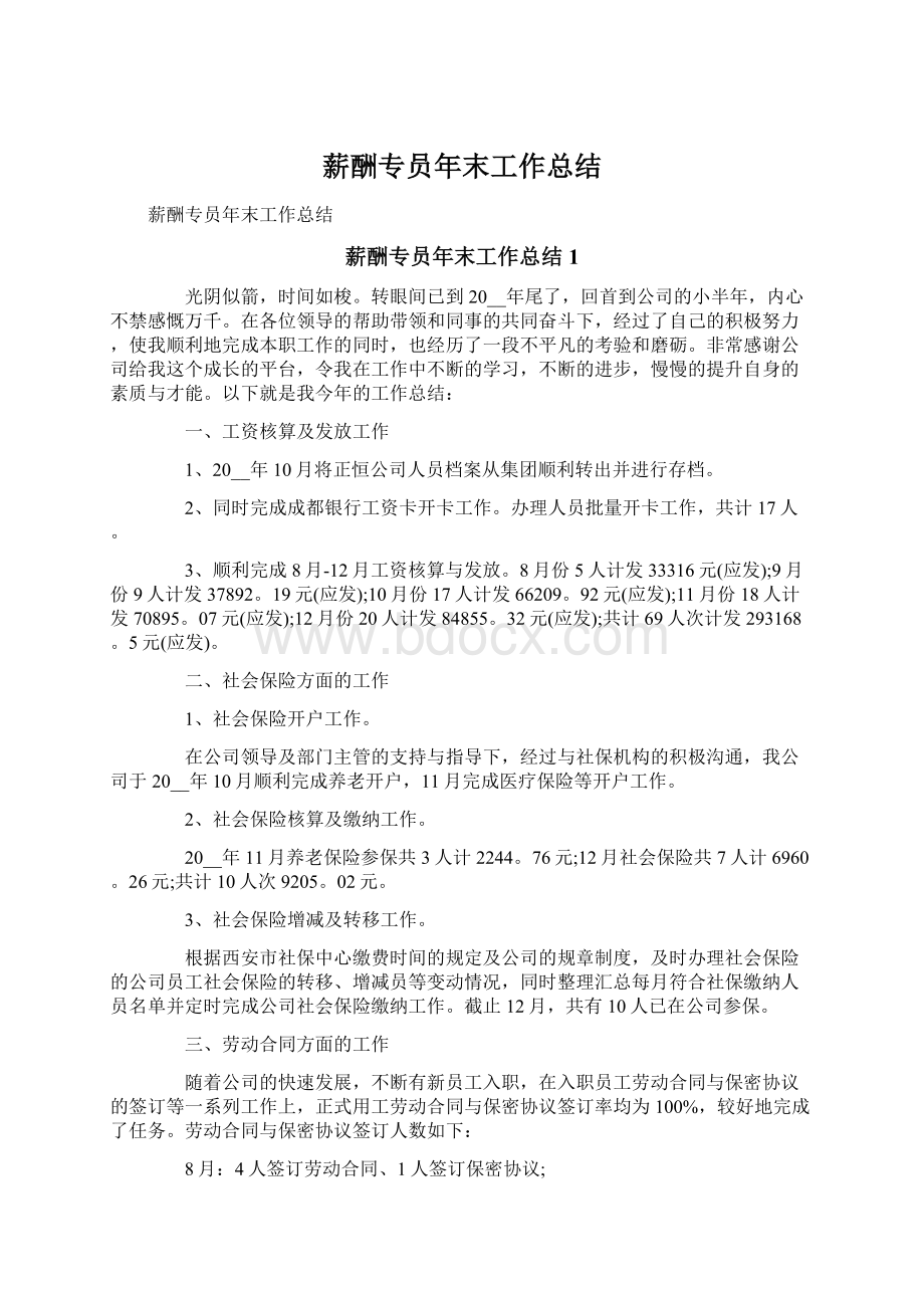 薪酬专员年末工作总结Word格式文档下载.docx_第1页