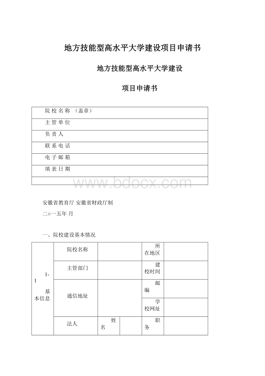 地方技能型高水平大学建设项目申请书.docx