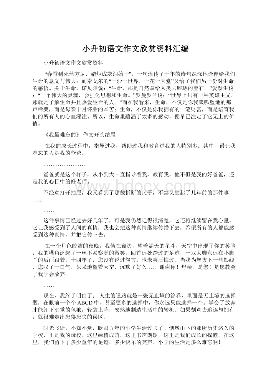 小升初语文作文欣赏资料汇编.docx