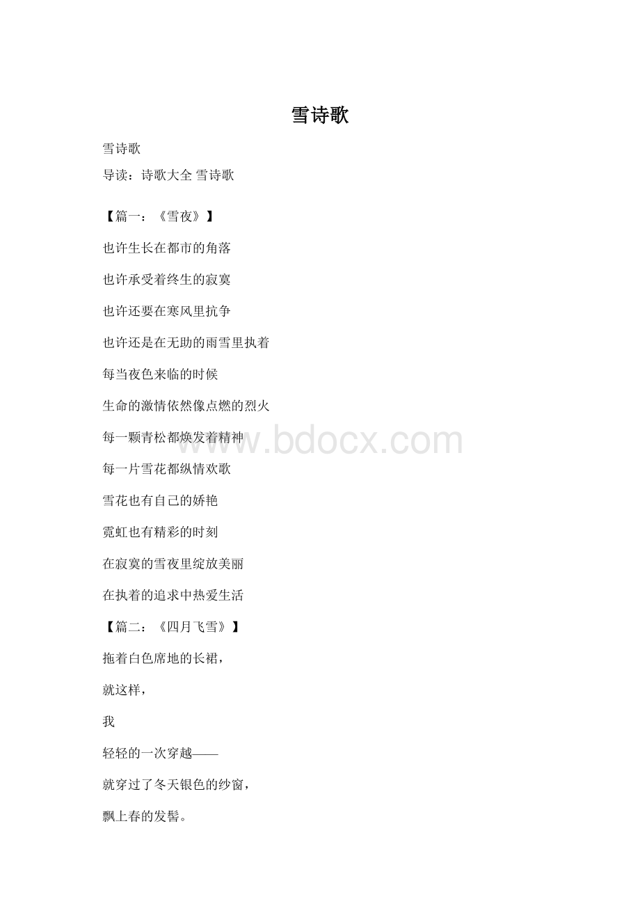 雪诗歌Word格式.docx