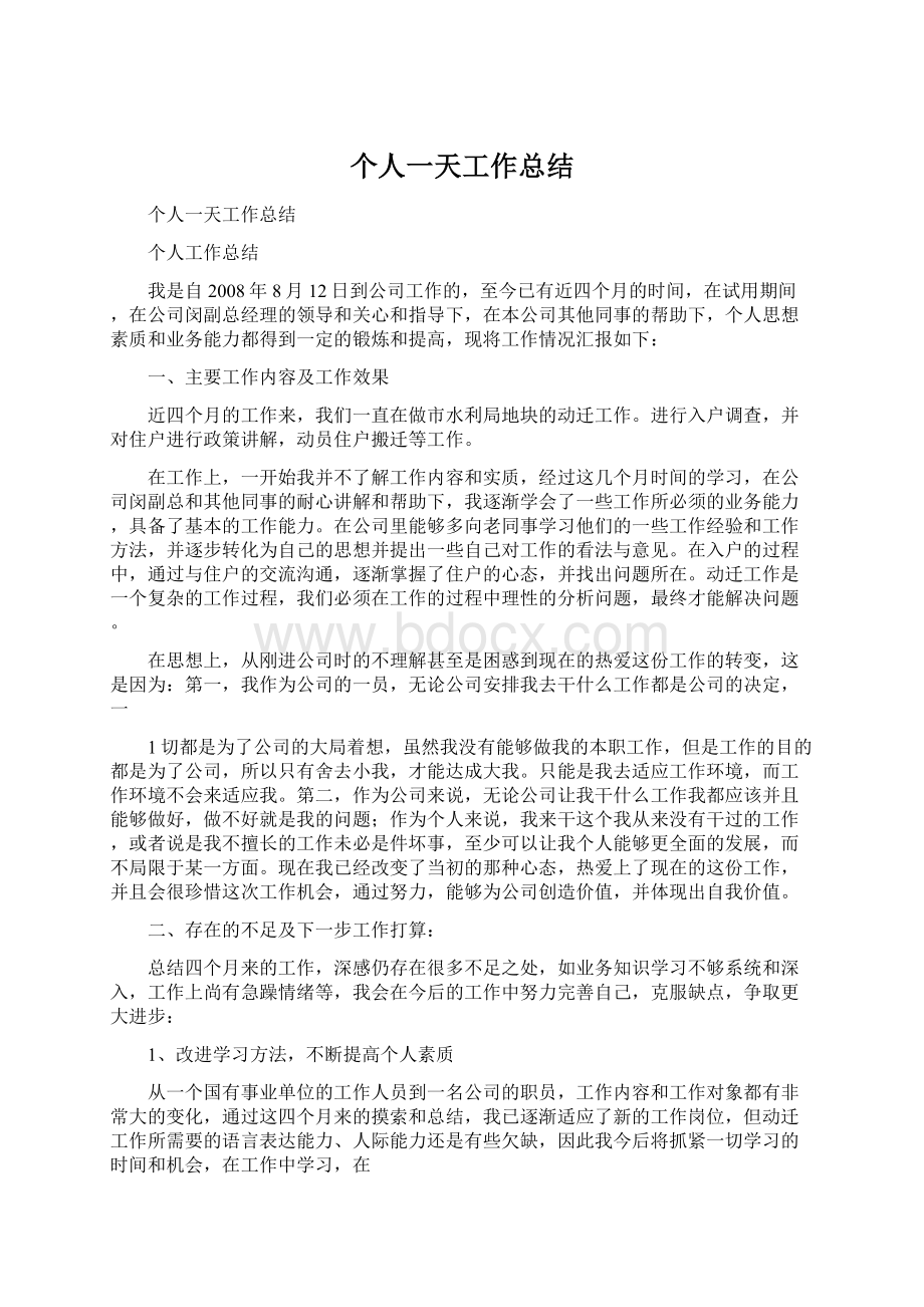 个人一天工作总结Word文档格式.docx