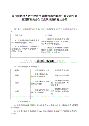 同步新教材人教生物讲义 动物细胞的有丝分裂无丝分裂及观察根尖分生区组织细胞的有丝分裂.docx