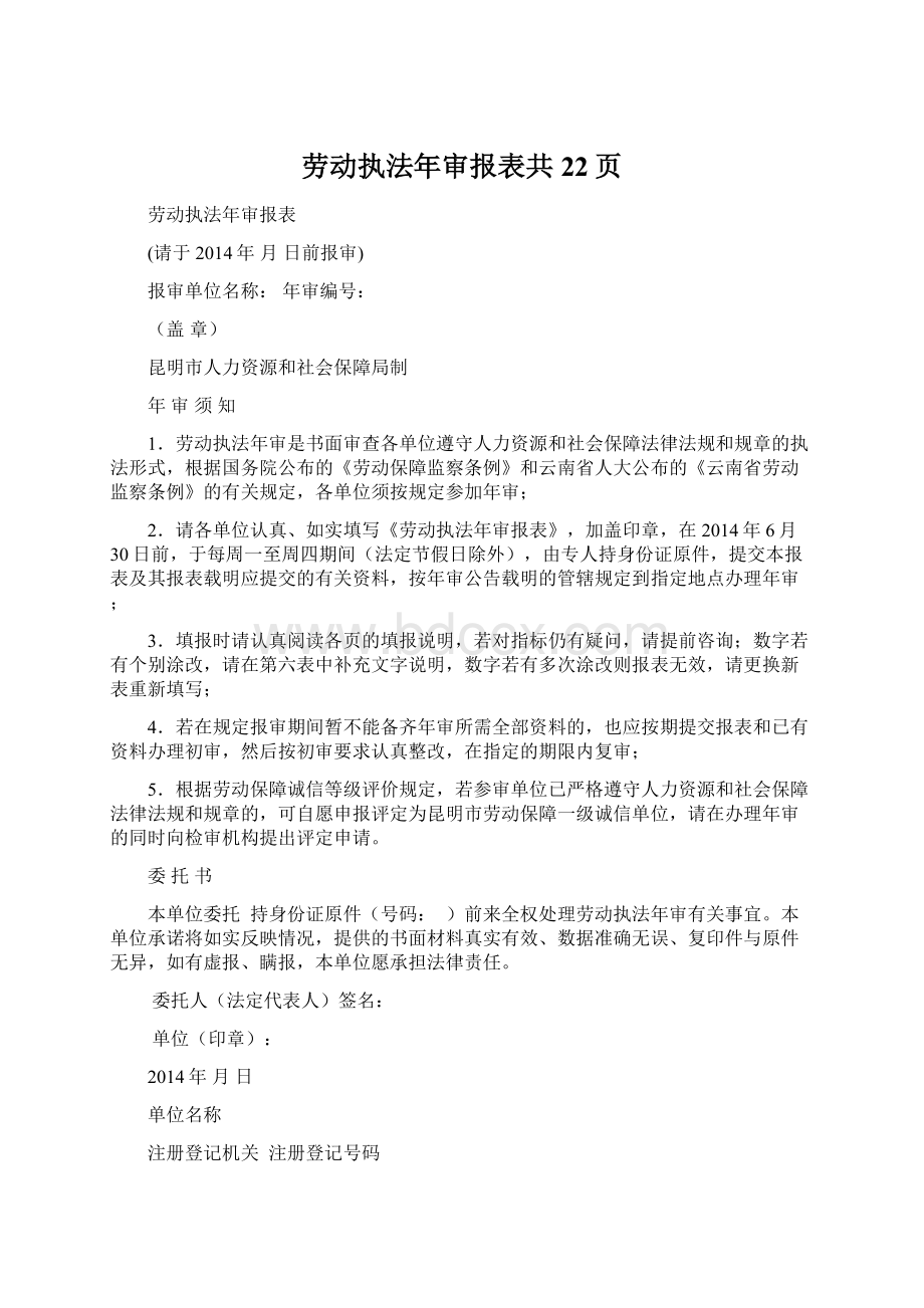 劳动执法年审报表共22页.docx