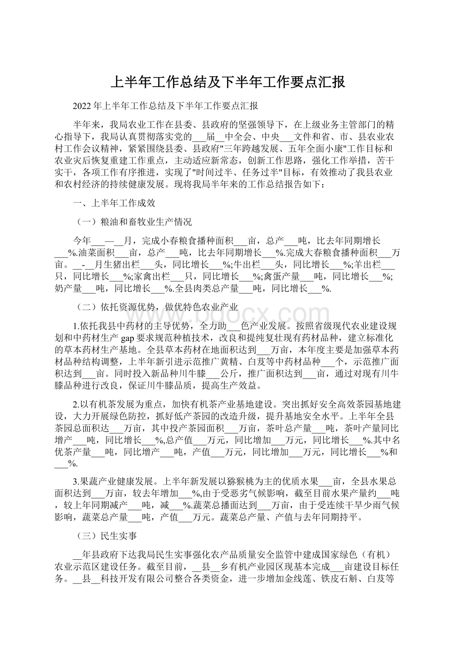 上半年工作总结及下半年工作要点汇报.docx