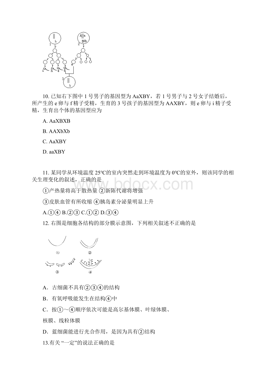 上海市徐汇区届高三生物上学期期末考试试题上海徐汇一模沪科版.docx_第3页