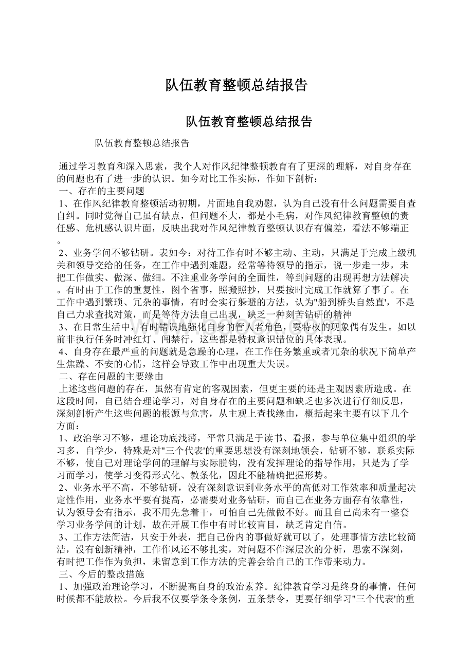 队伍教育整顿总结报告.docx_第1页