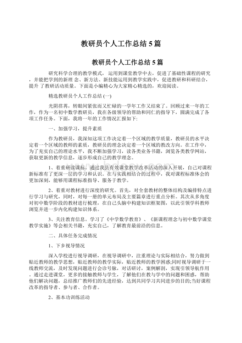 教研员个人工作总结5篇.docx