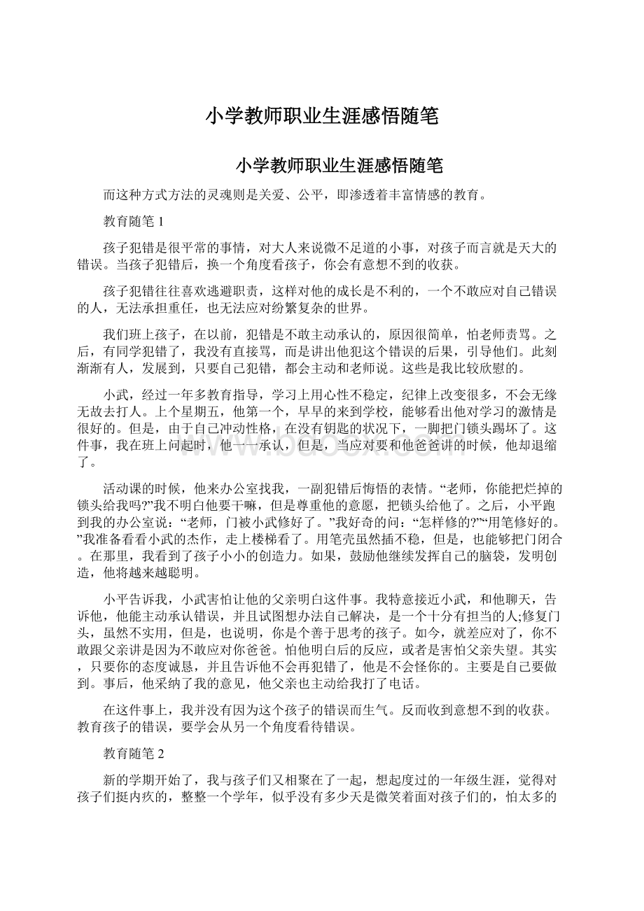 小学教师职业生涯感悟随笔Word文档格式.docx