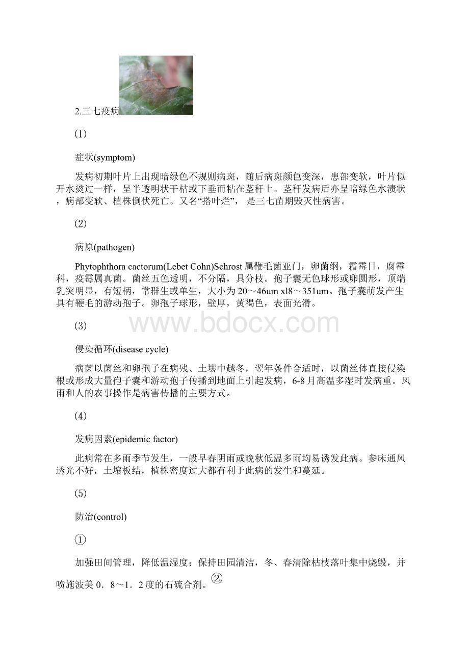 三七常见病虫害及其防治方法整理非常全建仔整理的之欧阳主创编文档格式.docx_第3页