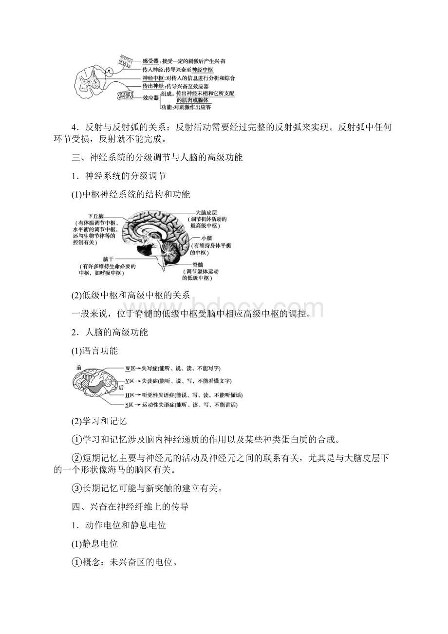 版高考生物一轮复习第八单元生命活动的调节第二讲通过神经系统的调节学案新人教版文档格式.docx_第2页