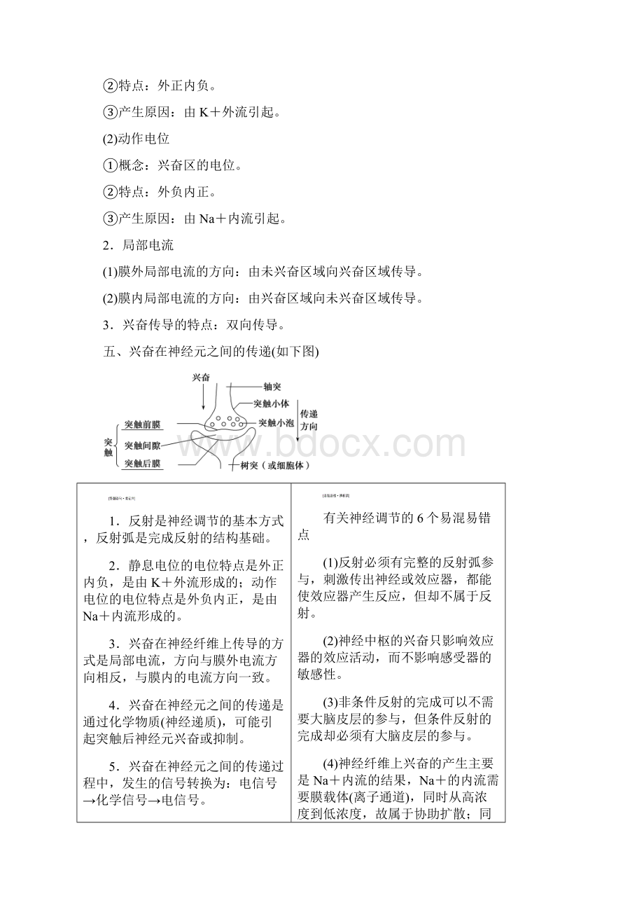 版高考生物一轮复习第八单元生命活动的调节第二讲通过神经系统的调节学案新人教版文档格式.docx_第3页