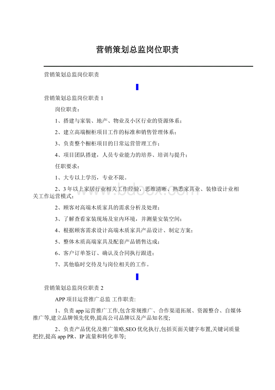 营销策划总监岗位职责.docx