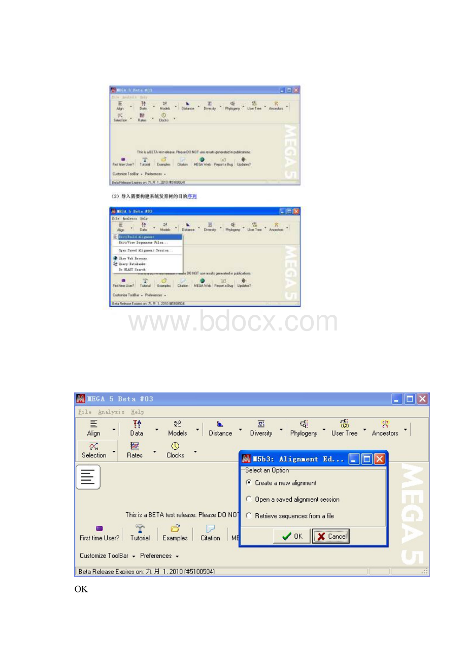 MEGA5使用说明Word格式文档下载.docx_第2页