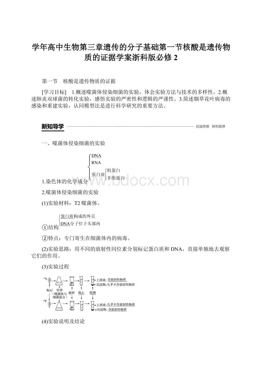 学年高中生物第三章遗传的分子基础第一节核酸是遗传物质的证据学案浙科版必修2Word格式文档下载.docx_第1页