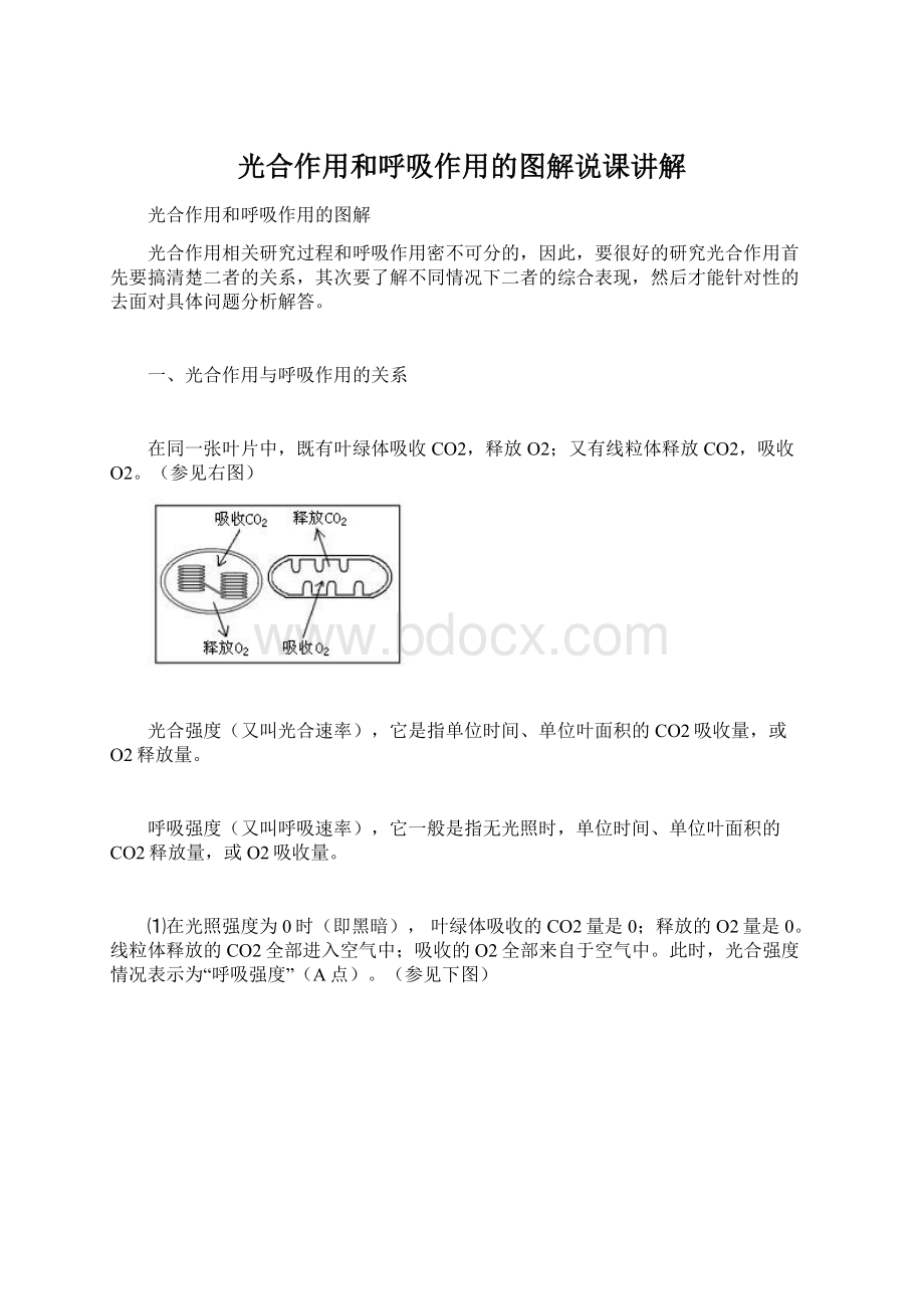 光合作用和呼吸作用的图解说课讲解.docx