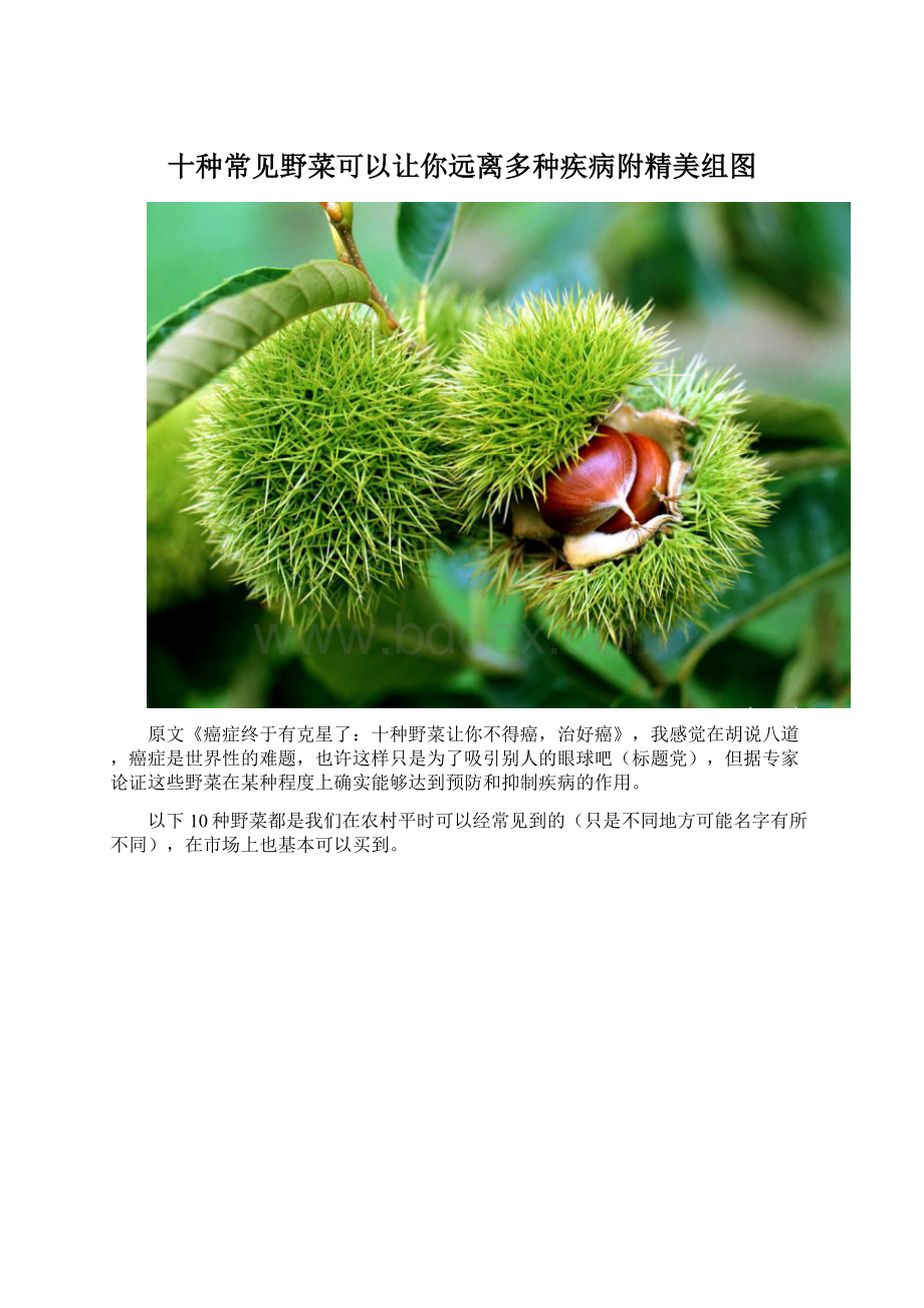 十种常见野菜可以让你远离多种疾病附精美组图Word下载.docx_第1页