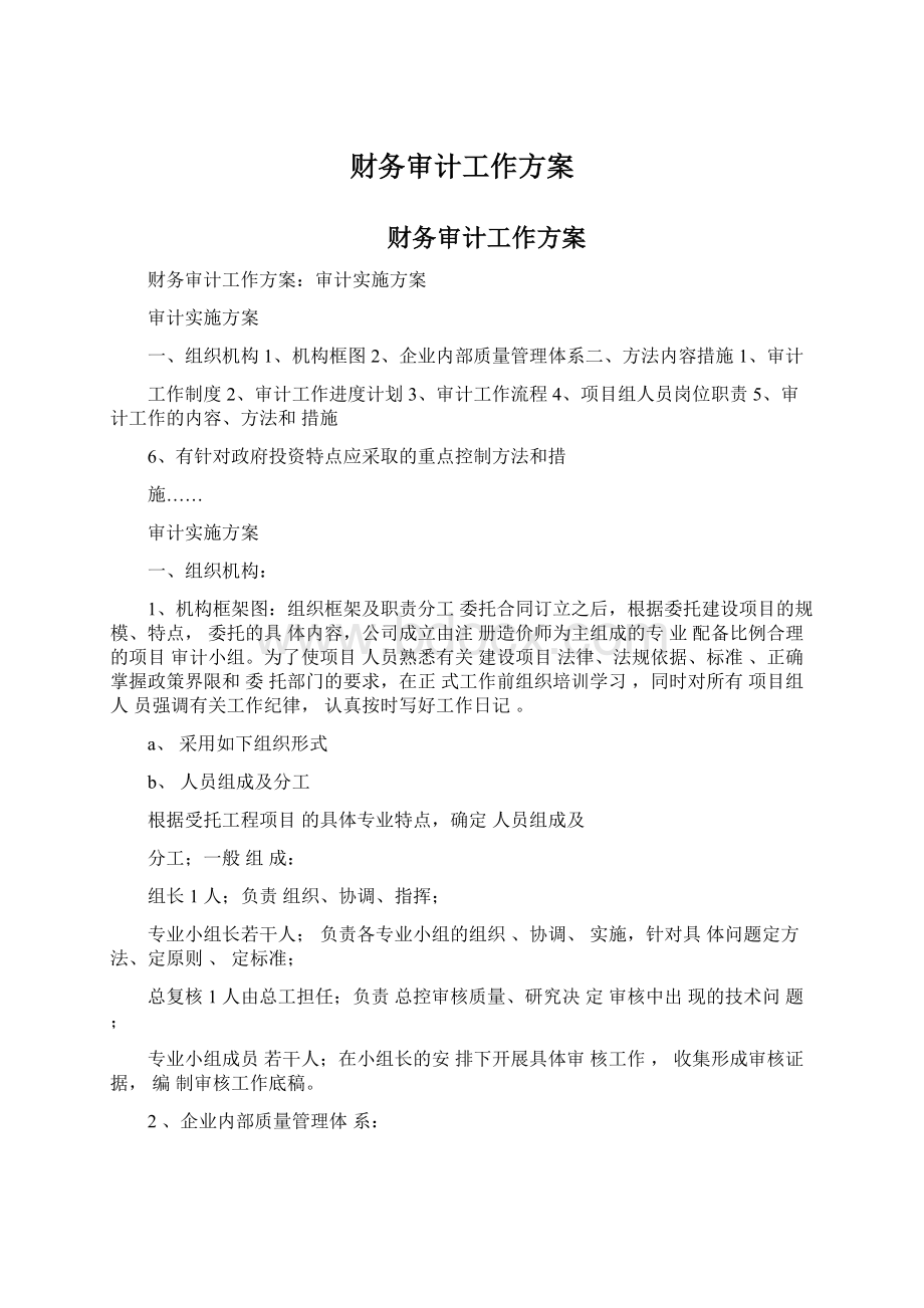 财务审计工作方案.docx