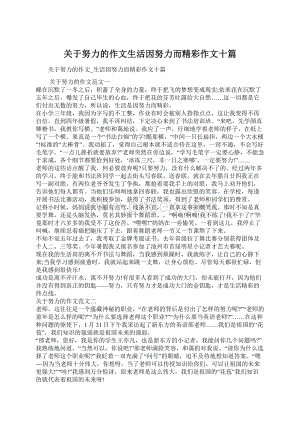 关于努力的作文生活因努力而精彩作文十篇.docx