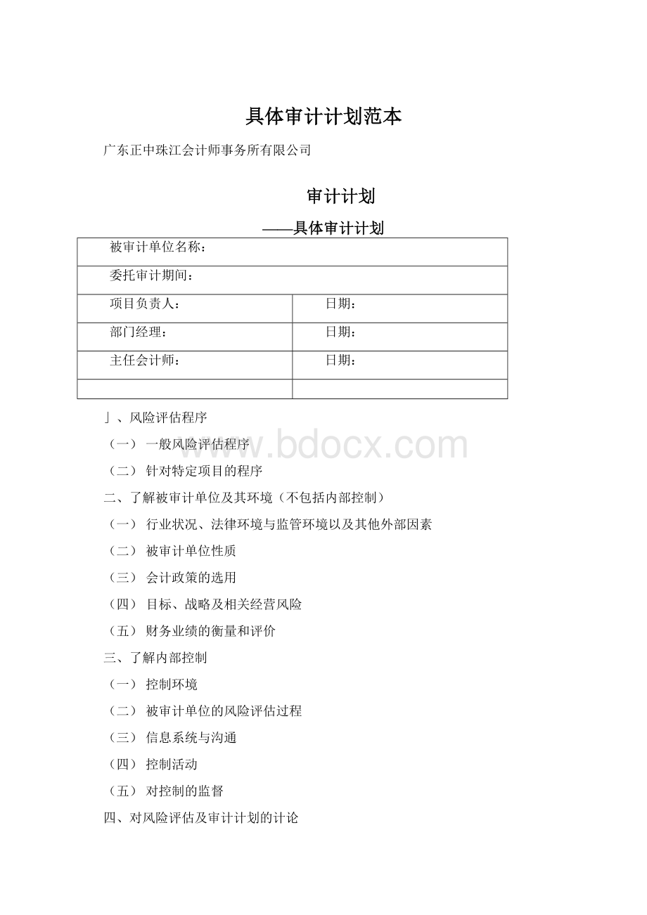 具体审计计划范本.docx_第1页