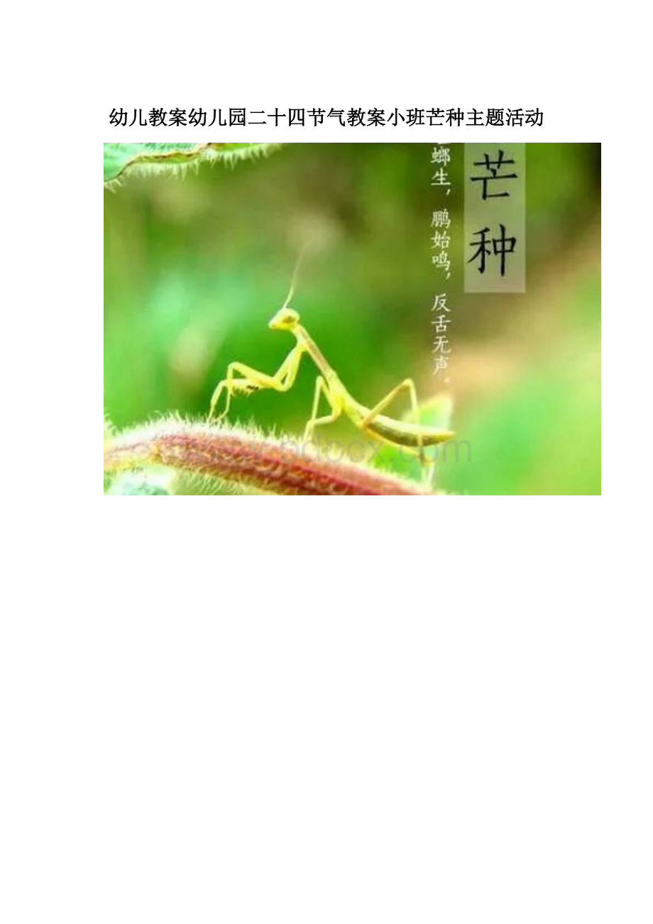 幼儿教案幼儿园二十四节气教案小班芒种主题活动.docx_第1页