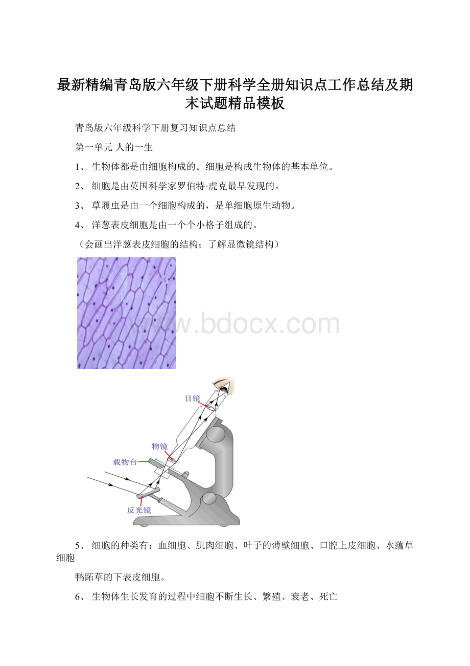 最新精编青岛版六年级下册科学全册知识点工作总结及期末试题精品模板.docx