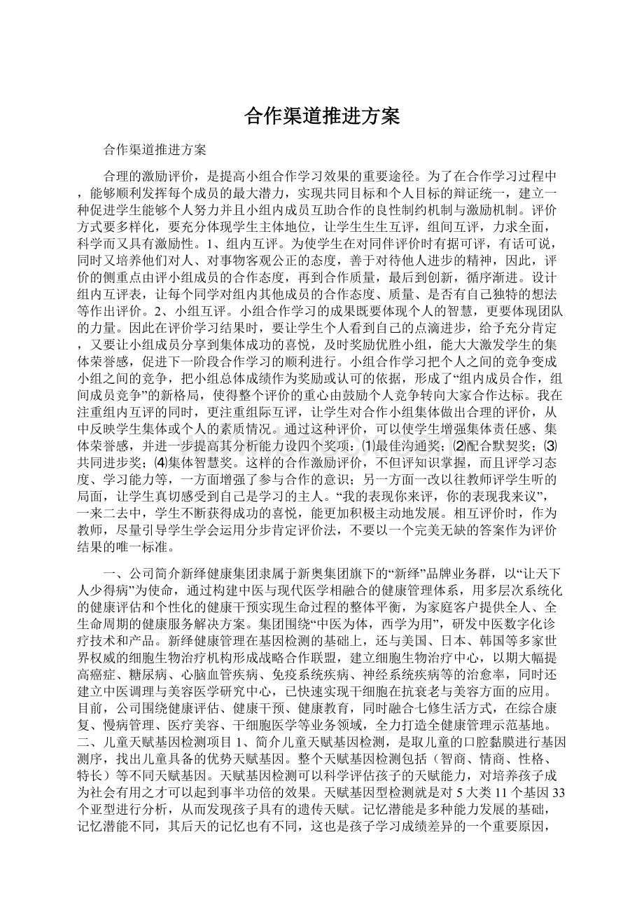 合作渠道推进方案文档格式.docx