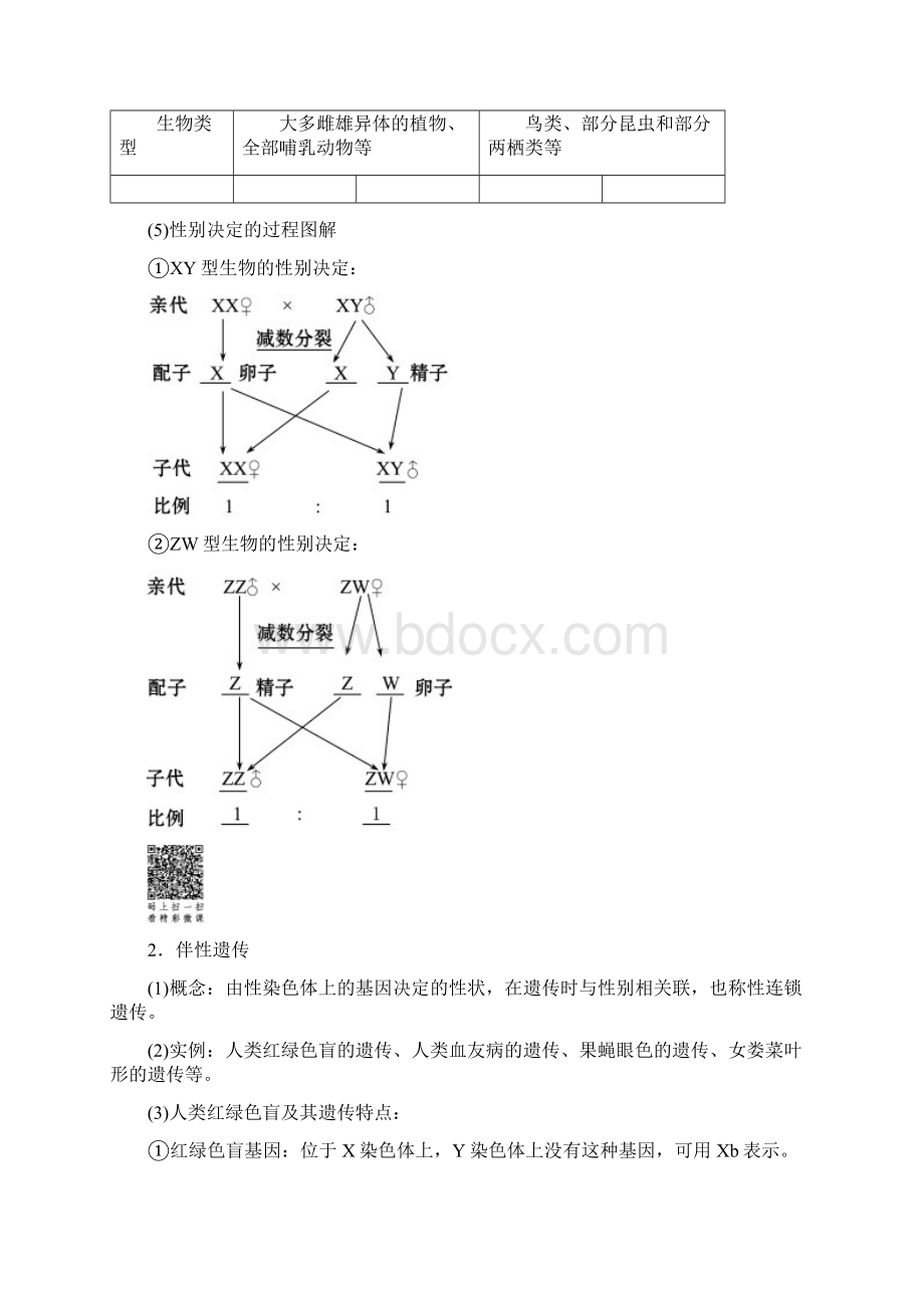 最新高中生物 第3章第2节 基因的自由组合定律 第2课时 性别决定和伴性遗传学案 苏教版必修2考试专用Word格式.docx_第2页