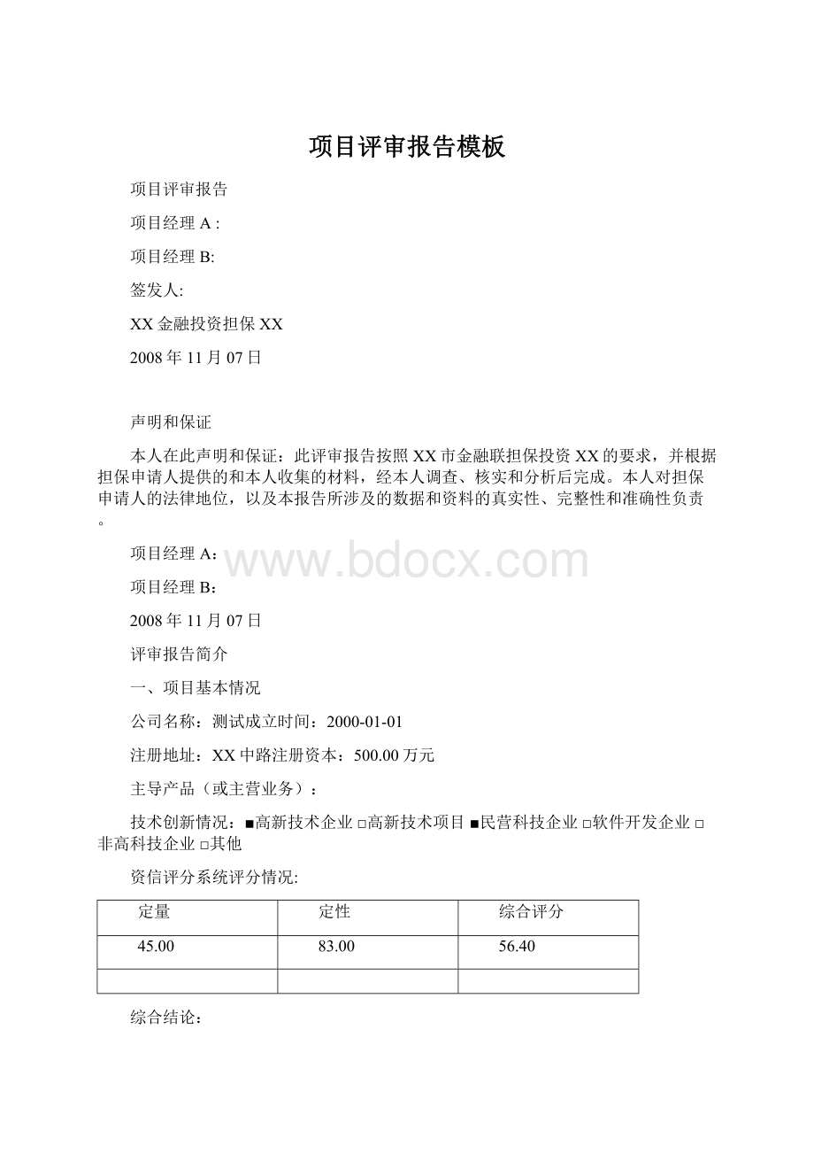 项目评审报告模板Word格式文档下载.docx_第1页