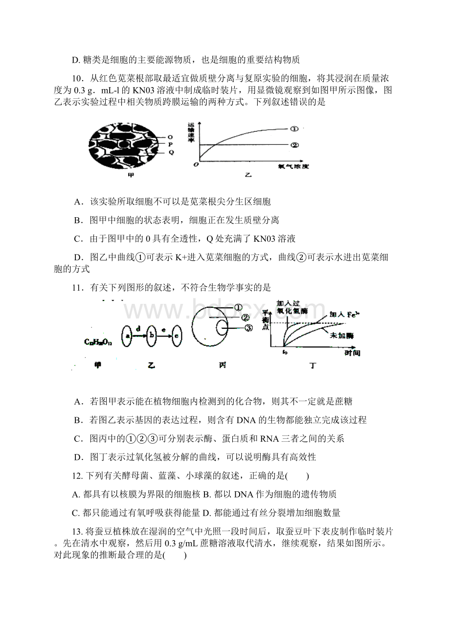 吉林省辽源五中学年高二生物下学期期中试题.docx_第3页