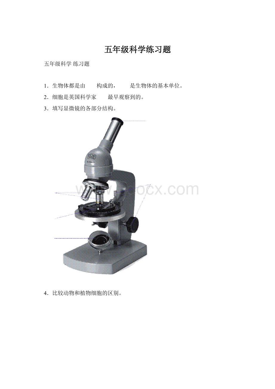 五年级科学练习题.docx