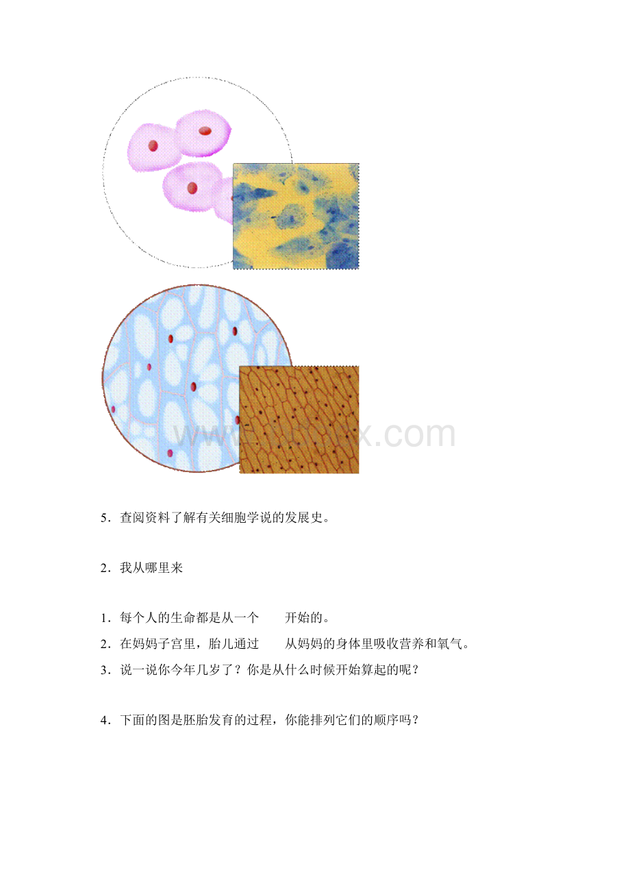 五年级科学练习题Word格式文档下载.docx_第2页