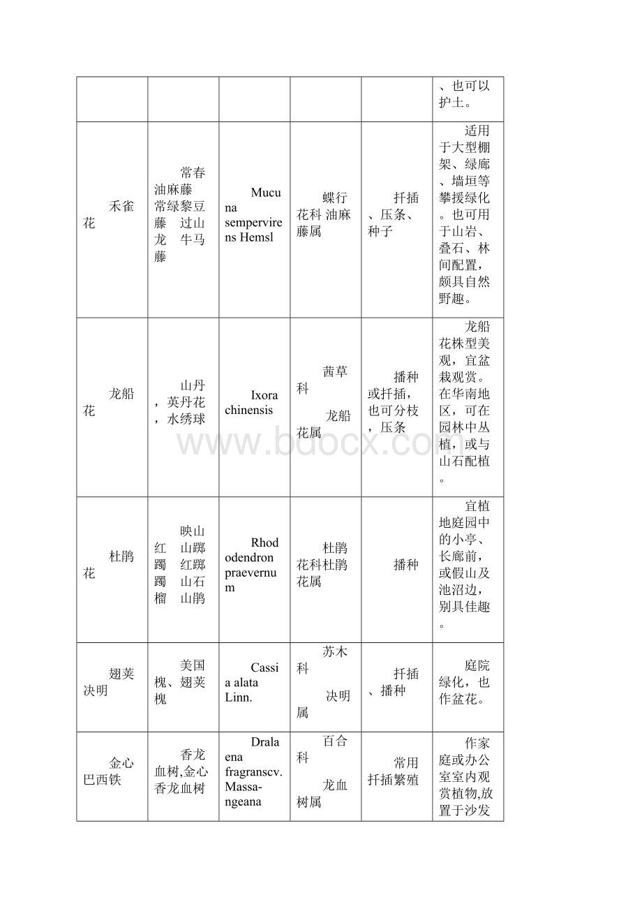 最新常见观赏植物识别Word格式文档下载.docx_第2页