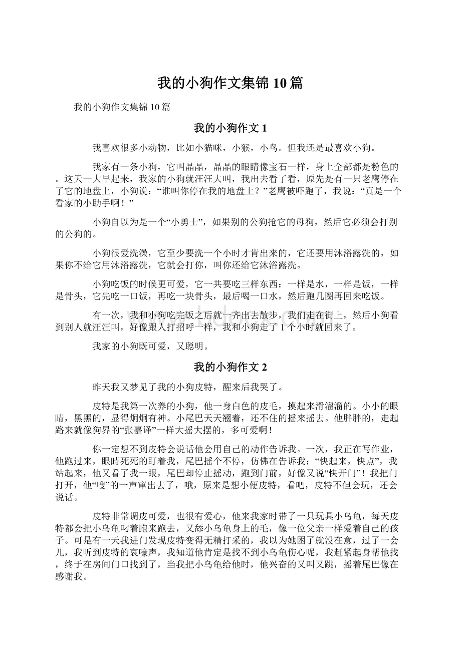 我的小狗作文集锦10篇Word文档下载推荐.docx_第1页