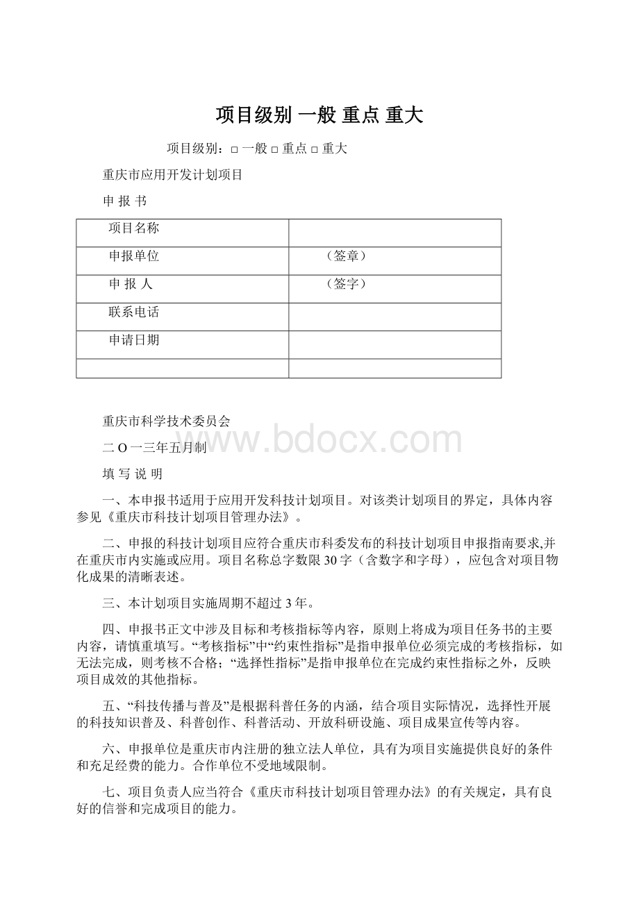 项目级别 一般 重点 重大Word格式文档下载.docx