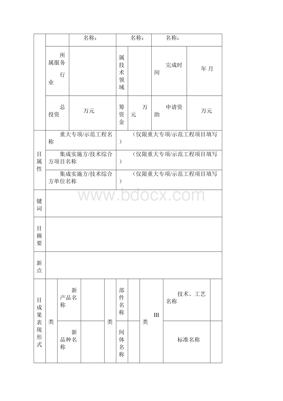 项目级别 一般 重点 重大.docx_第3页