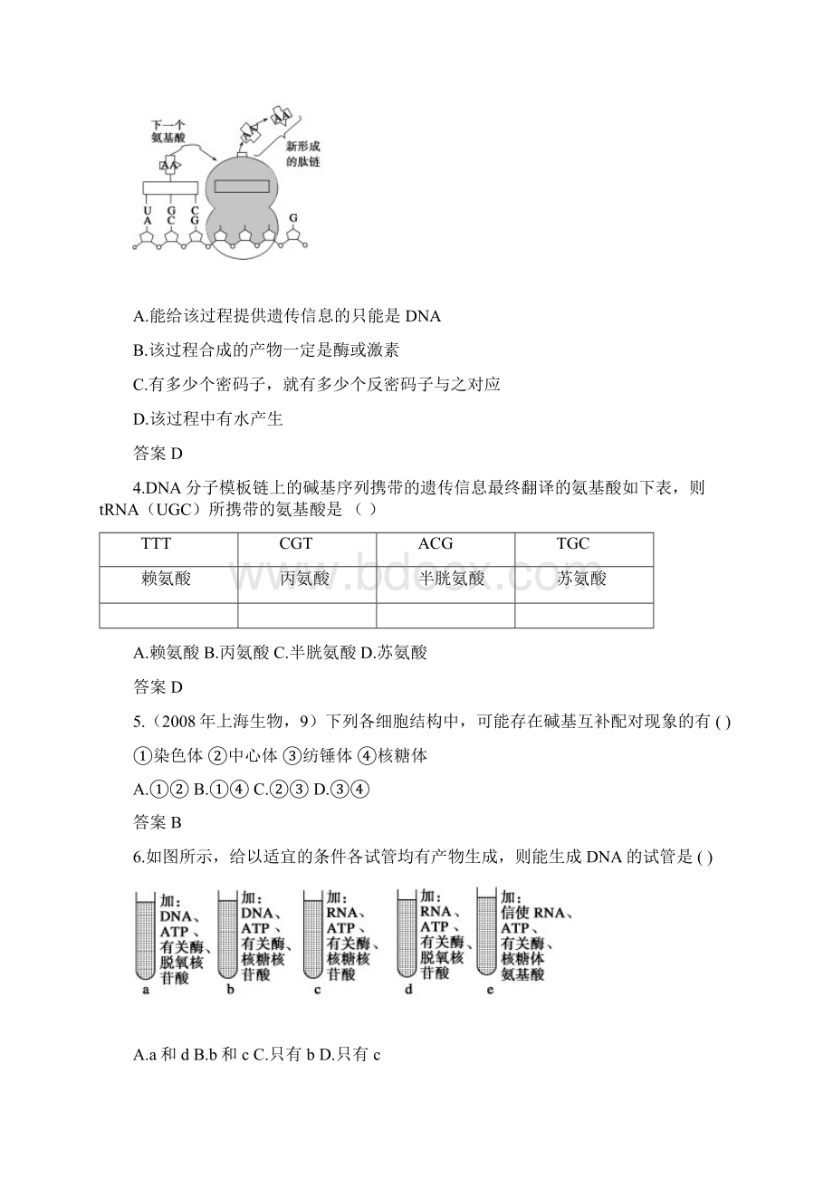 必修② 第四章 基因的表达文档格式.docx_第2页