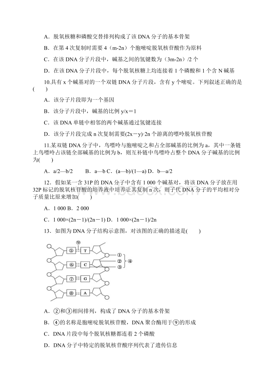 人教版 基因的本质 单元测试 1.docx_第3页