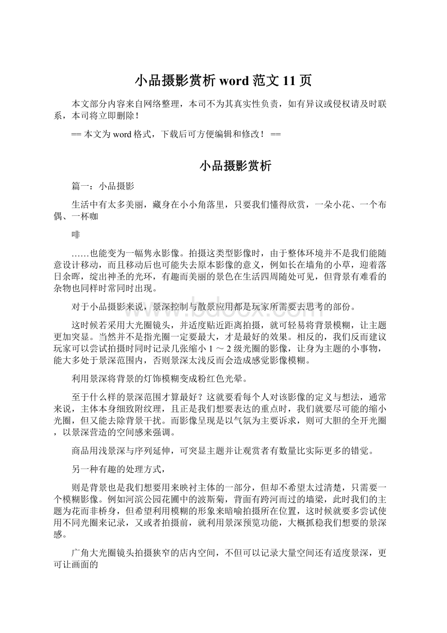 小品摄影赏析word范文 11页Word下载.docx