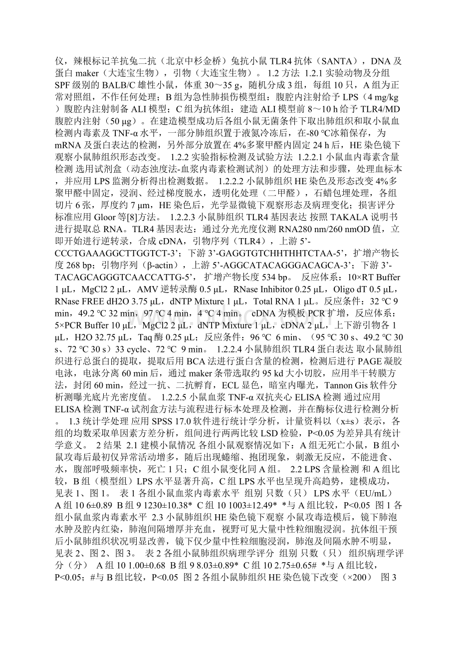 LPS诱导小鼠急性肺损伤TLR4及TNFα表达.docx_第2页