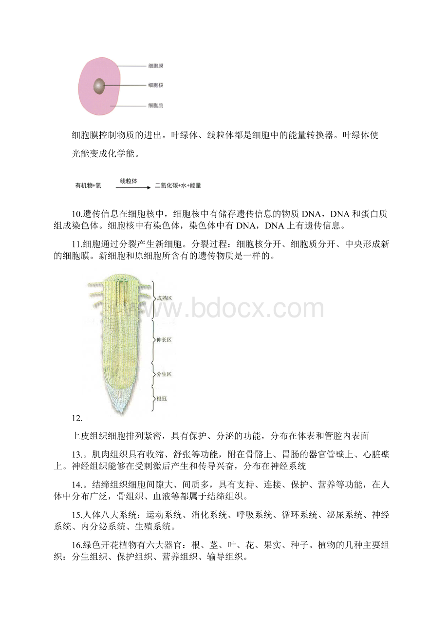 初中生物总复习资料超全Word文档下载推荐.docx_第3页