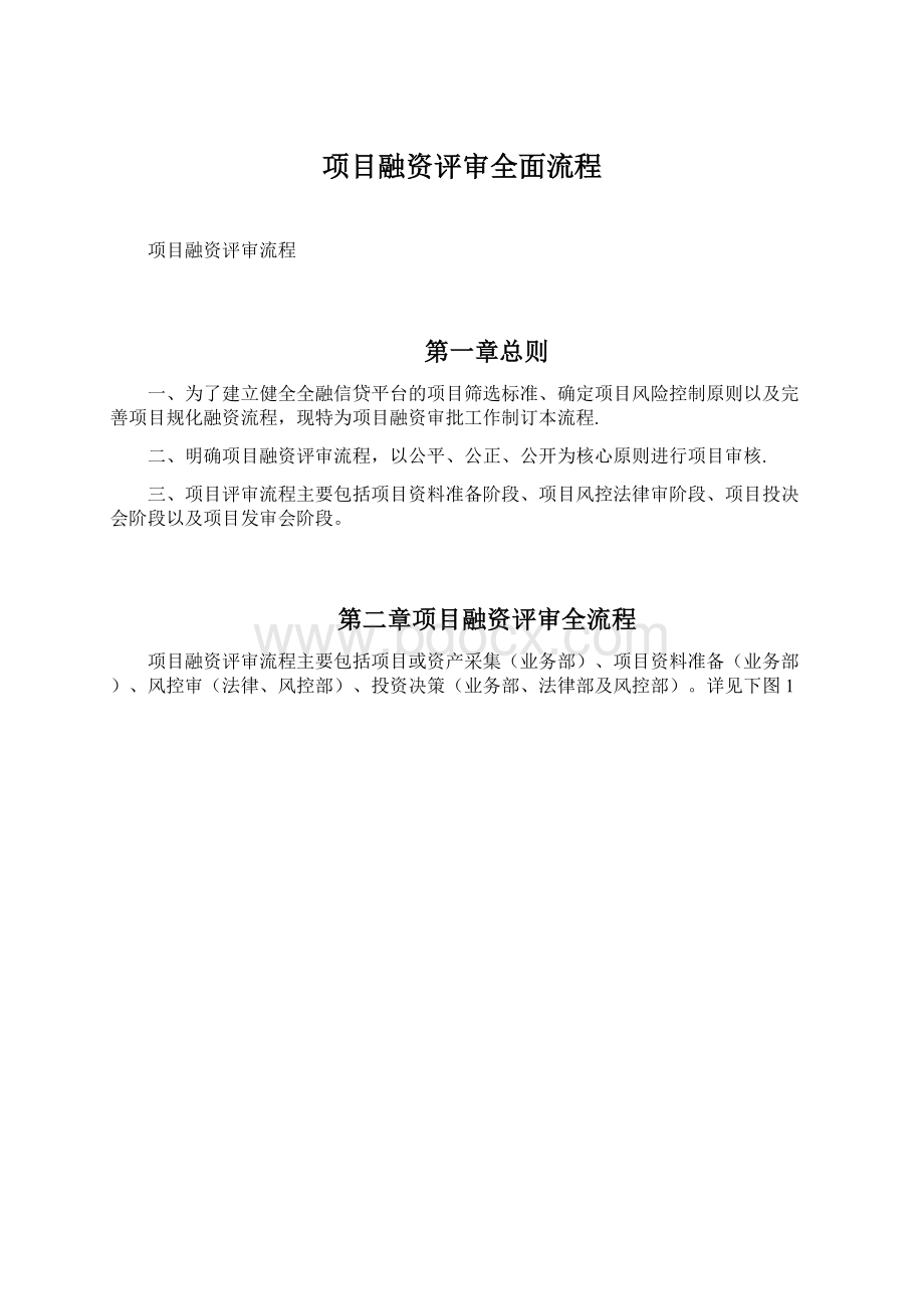 项目融资评审全面流程.docx_第1页