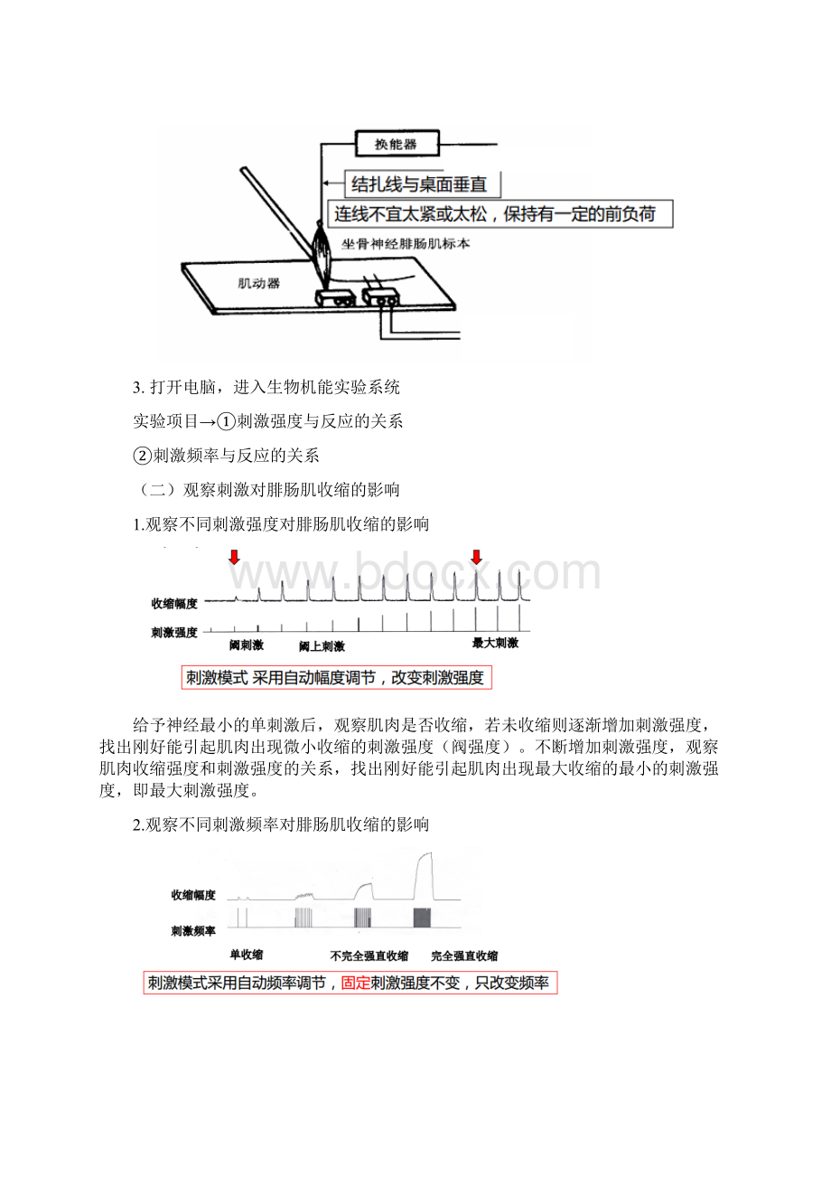 不同刺激强度和频率对骨骼肌收缩影响.docx_第2页