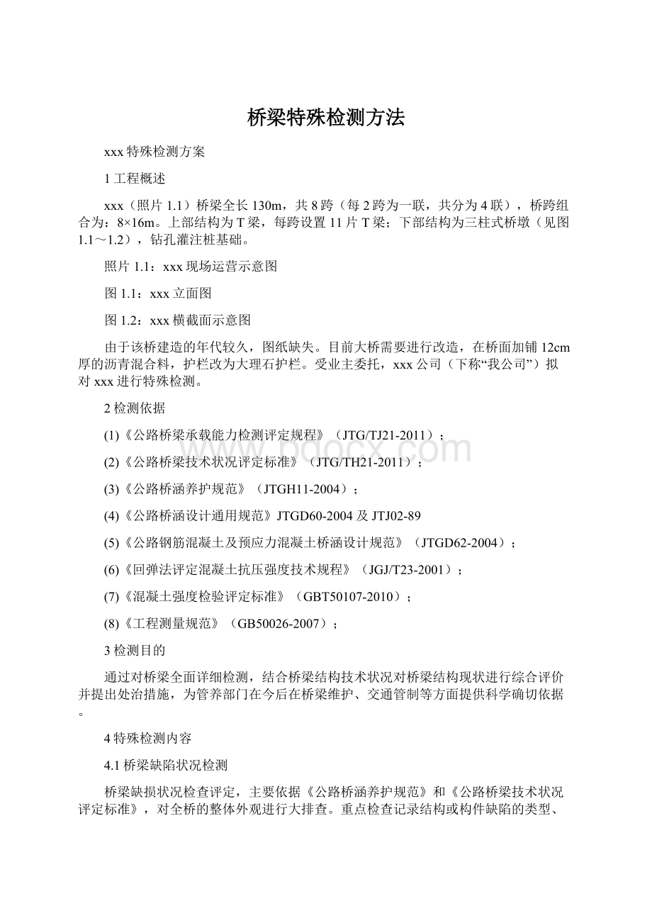 桥梁特殊检测方法文档格式.docx