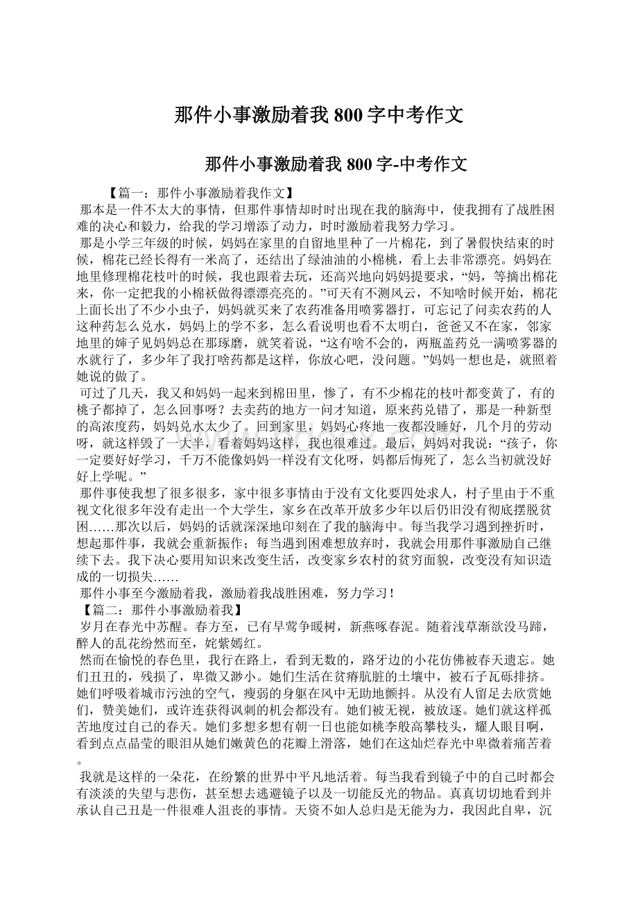 那件小事激励着我800字中考作文.docx_第1页